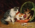 chatons lisant un livre Alfred Brunel de Neuville